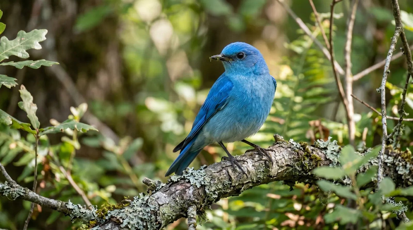 Pássaro azul em estilo fotorrealista.